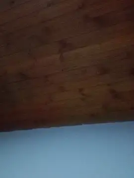 Darly Gomez online show from February 2025 08:41:02 PM