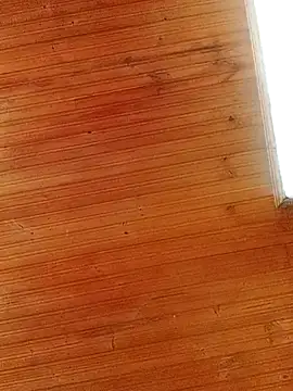 Darly Gomez online show from March 2025 04:00:02 PM