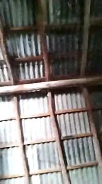 Snapshot of Feli230990 chatting on March 2025 06:12:02 PM Feli230990 online show from March 2025 06:12:02 PM