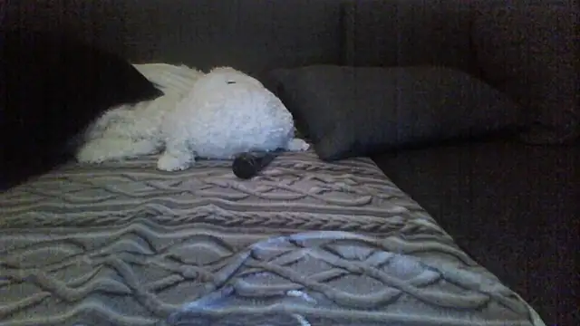 Avamereandmikel online show from July 2026 10:56:02 PM