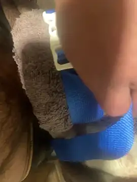 edgher646 online show from February 2025 08:48:01 AM