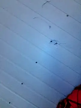 Snapshot of frotasso chatting on December 2024 04:15:02 AM frotasso online show from December 2024 04:15:02 AM