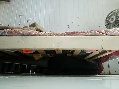 Snapshot of frotasso chatting on February 2026 11:01:01 PM frotasso online show from February 2026 11:01:01 PM