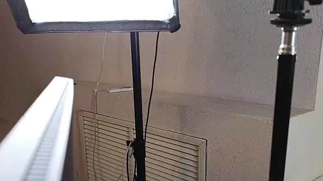 Snapshot of Penelope_Pinky chatting on October 2025 11:54:01 AM Penelope Pinky online show from October 2025 11:54:01 AM