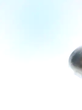 Snapshot of chootkapyasa007 chatting on January 2025 04:16:01 PM chootkapyasa007 online show from January 2025 04:16:01 PM