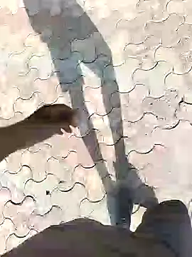 chootkapyasa007 online show from September 2025 10:48:01 AM