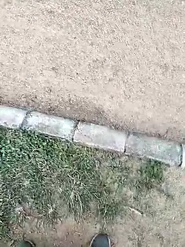 Snapshot of chootkapyasa007 chatting on October 2025 12:17:02 PM chootkapyasa007 online show from October 2025 12:17:02 PM