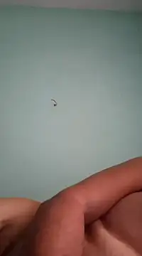 Snapshot of alexjs84 chatting on December 2024 11:12:01 AM alexjs84 online show from December 2024 11:12:01 AM