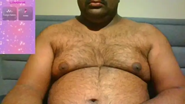 indianbearbot online show from November 2025 08:30:01 PM