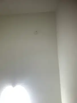 Snapshot of bidex002 chatting on May 2026 12:40:02 AM bidex002 online show from May 2026 12:40:02 AM
