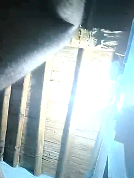 Snapshot of sasuke782 chatting on February 2025 01:39:01 PM sasuke782 online show from February 2025 01:39:01 PM