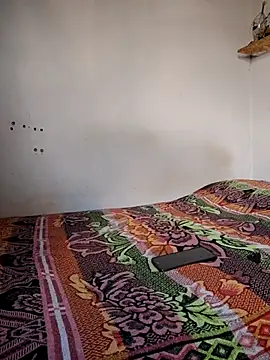 gatoalex89 online show from November 2025 07:56:02 PM