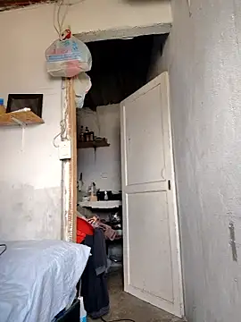 gatoalex89 online show from January 2026 05:37:01 PM