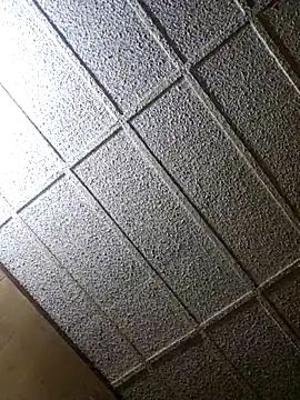 zaneporter46 online show from February 2025 12:49:01 AM