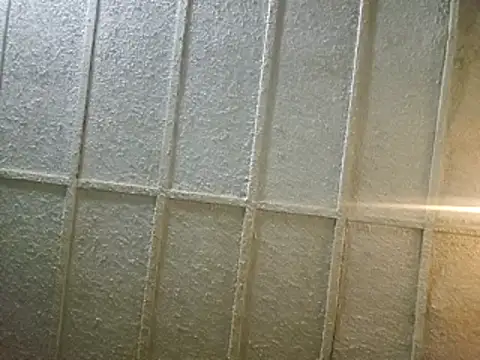 zaneporter46 online show from February 2025 03:52:01 AM