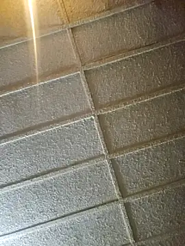 zaneporter46 online show from February 2025 09:56:02 AM