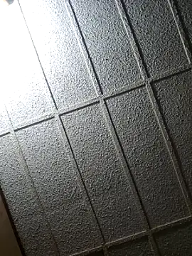 zaneporter46 online show from February 2025 04:04:01 PM