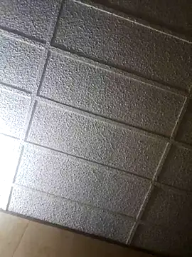 zaneporter46 online show from February 2025 07:58:02 AM