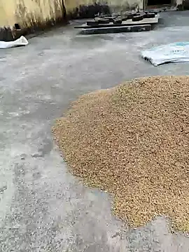 sweet suman online show from January 2025 11:21:02 AM