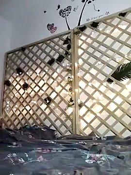 Mia WAll online show from January 2025 07:14:02 AM