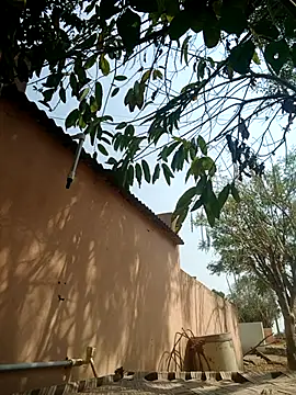 carria homes online show from March 2025 09:14:01 AM