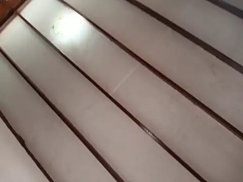 Snapshot of Rocket1978 chatting on February 2026 02:43:01 PM Rocket1978 online show from February 2026 02:43:01 PM