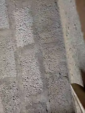 ruthaa online show from February 2026 08:15:02 AM