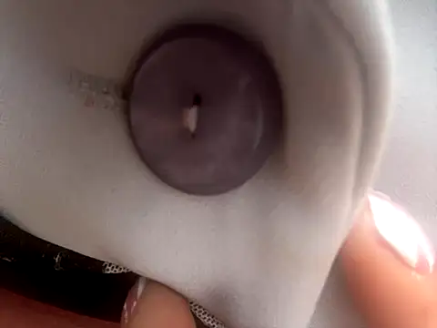 BELLA--26 online show from October 2025 01:48:02 PM