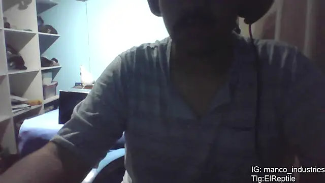 Snapshot of Elrep_tile chatting on February 2026 01:53:02 AM Elrep tile online show from February 2026 01:53:02 AM