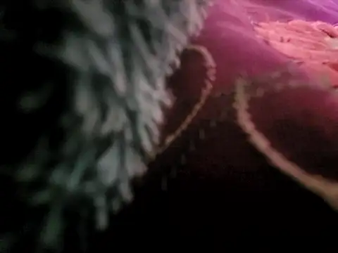 Snapshot of manterei2 chatting on March 2025 07:04:02 PM manterei2 online show from March 2025 07:04:02 PM