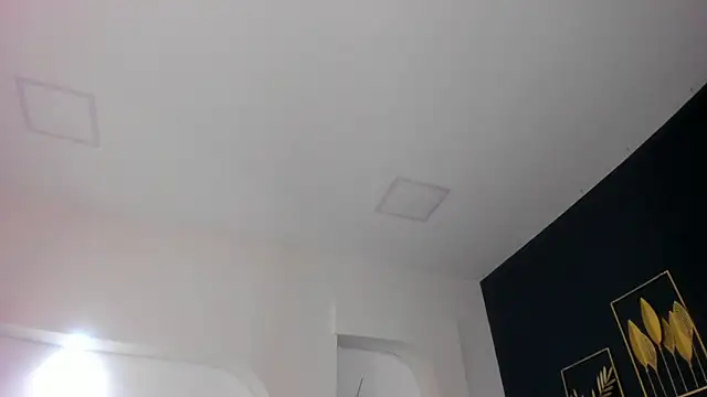 Snapshot of sara__jones_gh chatting on November 2025 04:41:02 PM sara jones gh online show from November 2025 04:41:02 PM