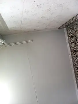 Lauren Amabel online show from November 2025 08:30:01 PM