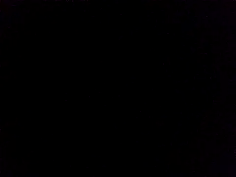 Lauren Amabel online show from November 2025 08:14:01 AM