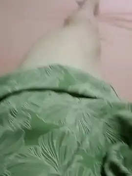 curtindo-muito82 online show from February 2026 12:26:01 AM