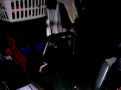 Snapshot of SergCarMX1 chatting on October 2025 08:50:02 PM SergCarMX1 online show from October 2025 08:50:02 PM