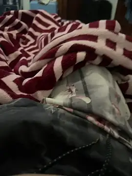 Snapshot of BCFZD chatting on November 2025 04:29:02 AM BCFZD online show from November 2025 04:29:02 AM