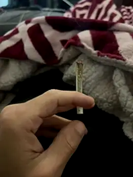 Snapshot of BCFZD chatting on December 2025 03:27:02 AM BCFZD online show from December 2025 03:27:02 AM