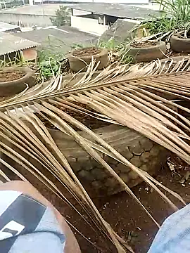 Snapshot of safado0027 chatting on October 2025 06:41:01 PM safado0027 online show from October 2025 06:41:01 PM