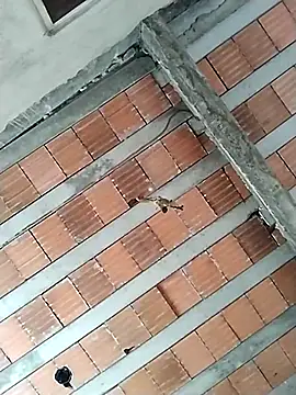 Snapshot of safado0027 chatting on October 2025 10:49:02 AM safado0027 online show from October 2025 10:49:02 AM