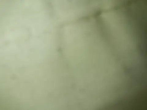 Snapshot of Ktosik88 chatting on January 2026 07:50:02 PM Ktosik88 online show from January 2026 07:50:02 PM