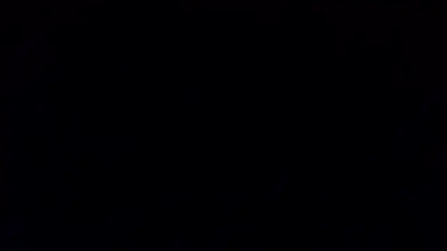 petina online show from January 2026 06:33:01 PM