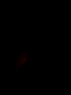 Snapshot of xxxxGuruxxxx chatting on March 2025 06:38:02 AM xxxxGuruxxxx online show from March 2025 06:38:02 AM