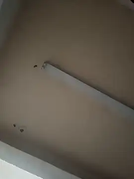 boyvergon online show from January 2025 06:36:02 AM