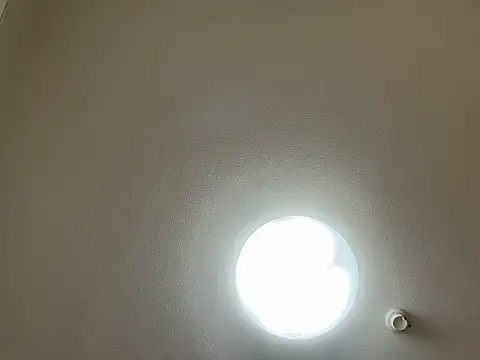 riri riri jp online show from March 2026 11:43:02 AM