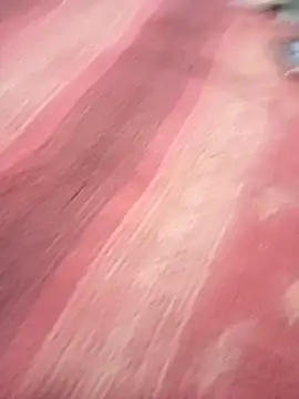 Snapshot of bdmaksuda1 chatting on March 2025 04:07:02 PM bdmaksuda1 online show from March 2025 04:07:02 PM