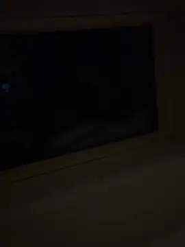 wyattstone online show from February 2026 04:20:02 AM