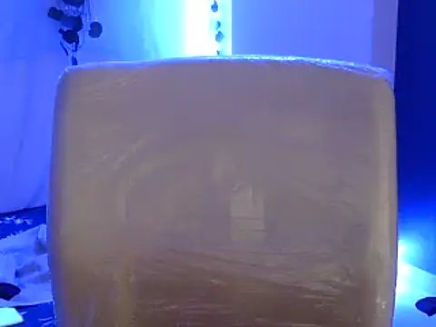 Snapshot of Shanaya1 chatting on March 2025 04:10:01 AM Shanaya1 online show from March 2025 04:10:01 AM