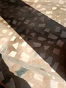 Raj41 online show from November 2025 04:44:02 AM