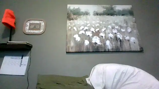 HarvryBlaze online show from February 2026 12:29:02 AM