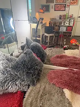 I am babydoll online show from March 2026 12:49:02 AM